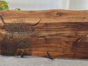 Acacia Highland Cow